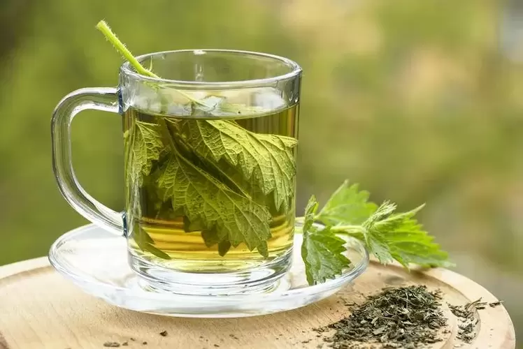 Merebus herba untuk diet minum