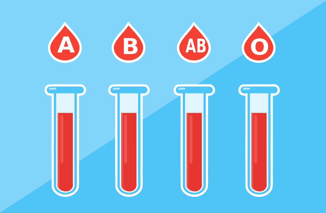 Terdapat 4 kumpulan darah - A, B, AB, O